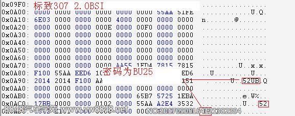 08标致307 2.0 LDC933W BSI密码位